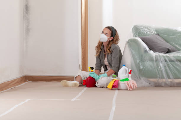 Reliable Mold Testing contractor in Maple, NC by WQB Mold Removal